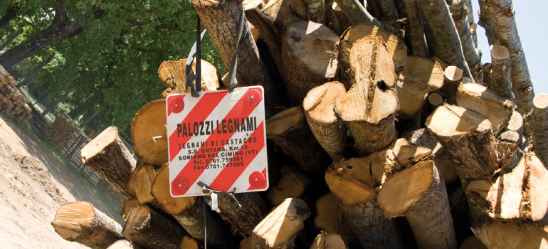 Benvenuti alla Palozzi Legnami srl